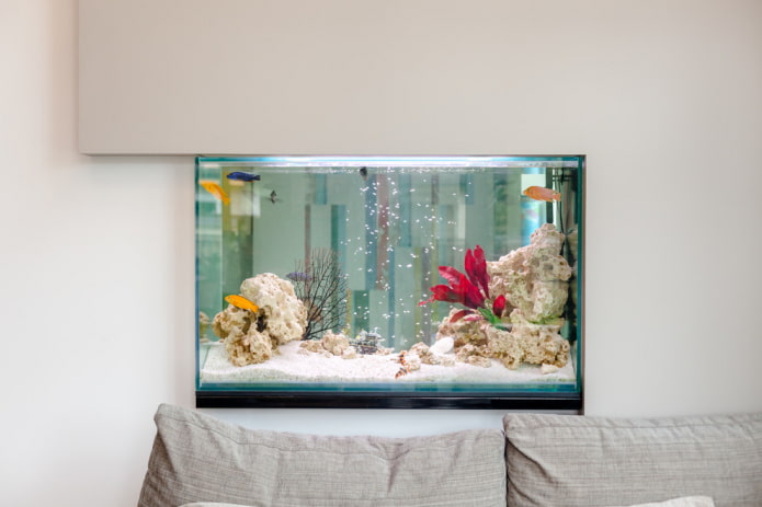 Внутренний аквариум: фото, виды, реальные примеры оформления