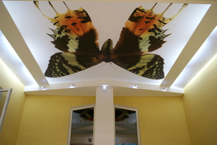 потолок бабочки