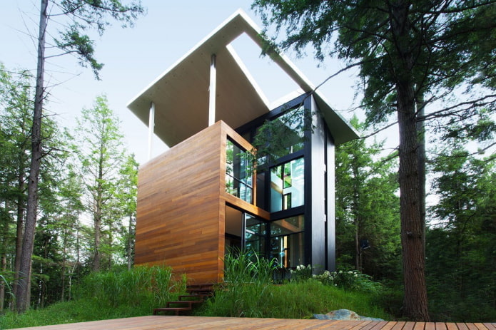 дом в стиле хай-тек в лесу