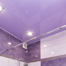 Фиолетовая крыша: дизайн, оттенки, фото для натяжного и натяжного потолка-6