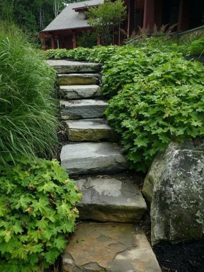 каменные ступени в саду